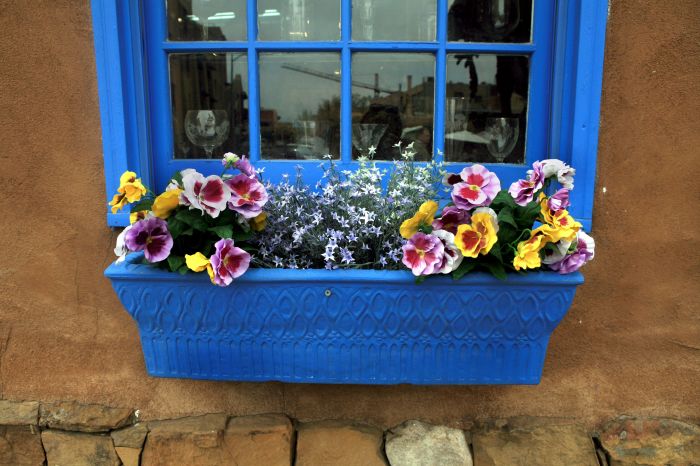 Flowers to plant in window boxes